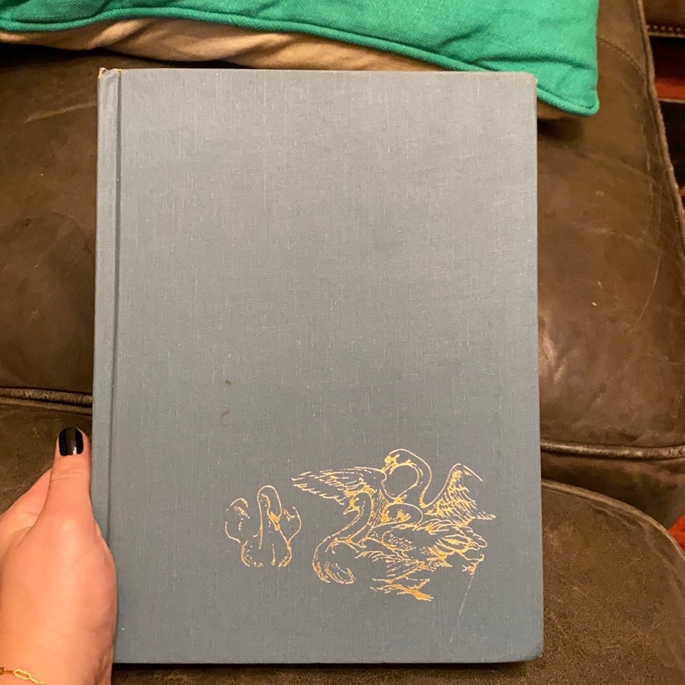 Classics Storybook
